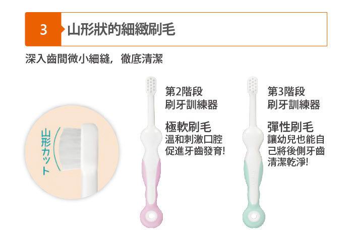 Combi Teteo 刷牙訓練器 [連第2階段牙刷]
